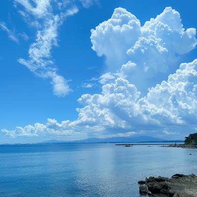 Summer Coastal View