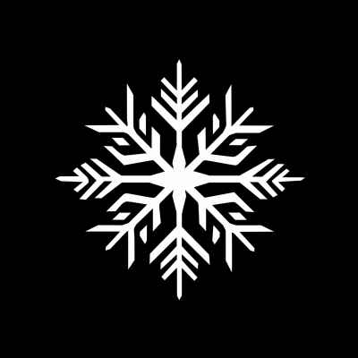 Minimalist Snowflake Logo