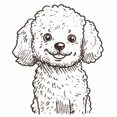 Cute Toy Poodle Drawing
