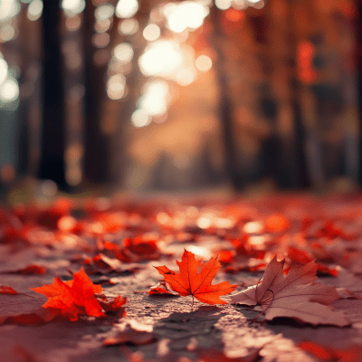 Autumn Landscape