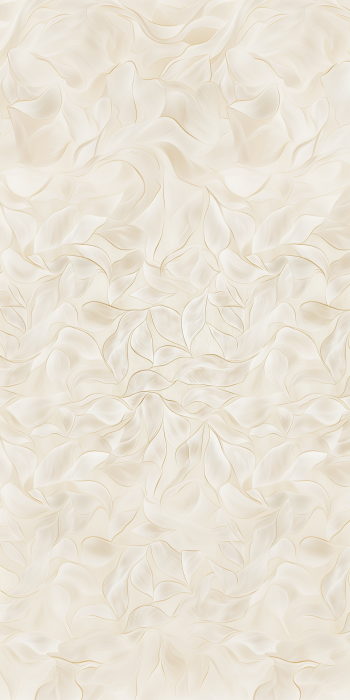 Elegant Abstract Lines