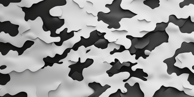 Black and White Digital Camouflage Pattern