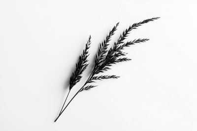 Minimalist Black and White Plant Art