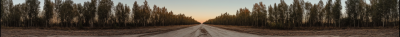 Dusty Road in Forest