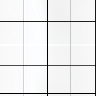 Thin Line Black and White Grid