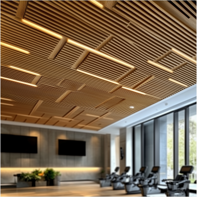 Modern Ceiling Design