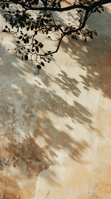 Dappled Light on Tan Wall