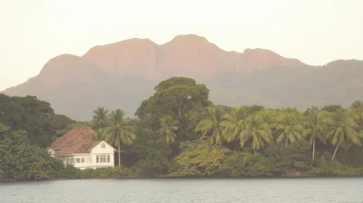 Palm Trees in Rio de Janeiro