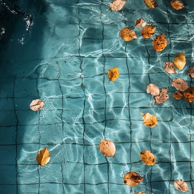 Close Up of Pool Water