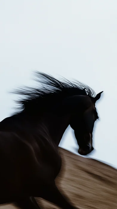 Horse in Motion