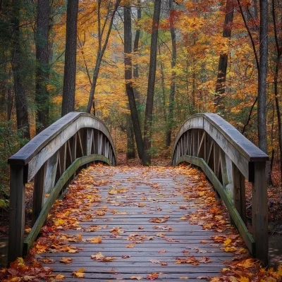 Autumn Bridge