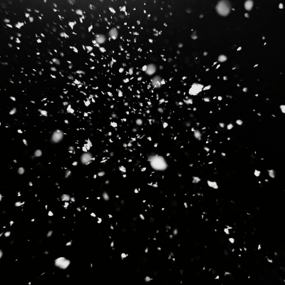 Snowfall on Black