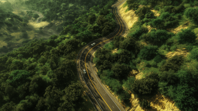 Winding Road Through Forest