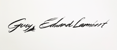 Elegant Cursive Signature
