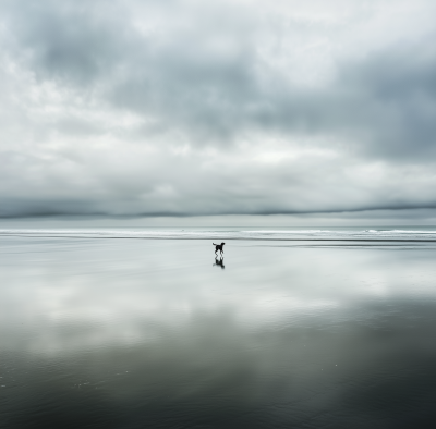 Beach Landscape with Dog