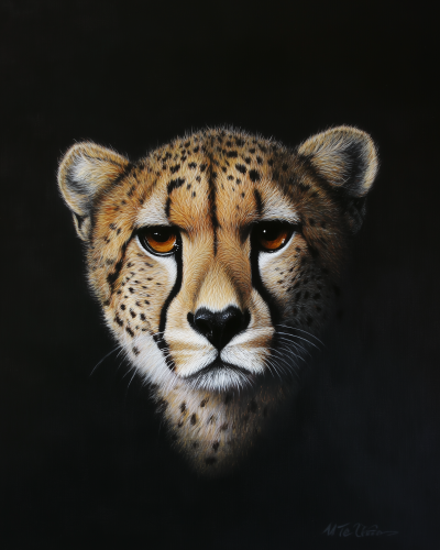 Cheetah Portrait