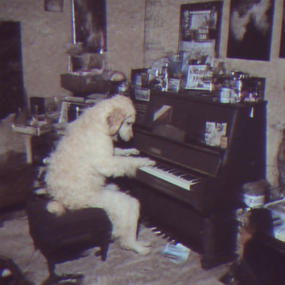 Dog Playing Piano Meme