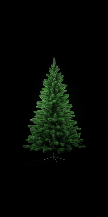 Green Christmas Tree on Black Background