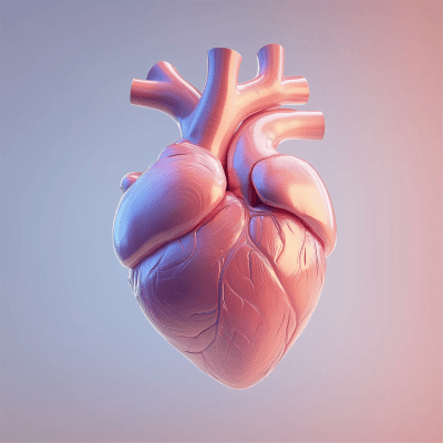 Realistic Cute Human Heart