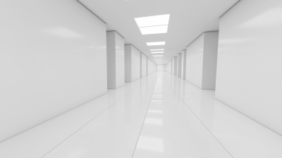 Minimalist White Hall