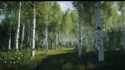 Aspen Tree Forest