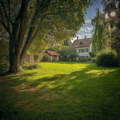 Sunny Garden Scene