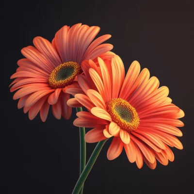 Vibrant Gerbera Daisies