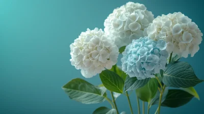 Hydrangea Bouquet