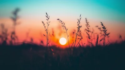 Beautiful Sunset Over Field