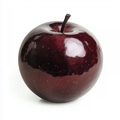 Burgundy Apple on White Background