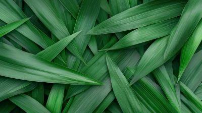 Lush Green Grass Field