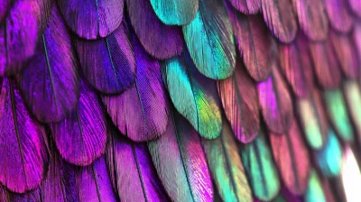 Iridescent Hummingbird Inspiration