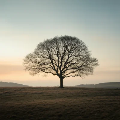 Lone Tree at Sunset