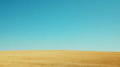 Golden Wheat Field