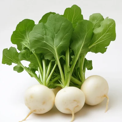 Fresh Radish