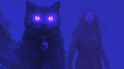 Mysterious Cat Companion