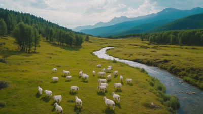 Aerial View of Altai Mountains