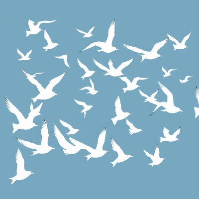 Minimalist Seagulls Illustration