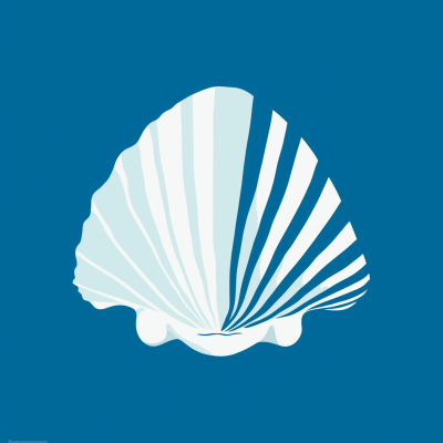 1960s Seashell Illustration