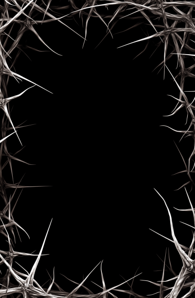 Thorn Frame