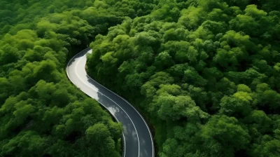 Curved Green Road Aerial View