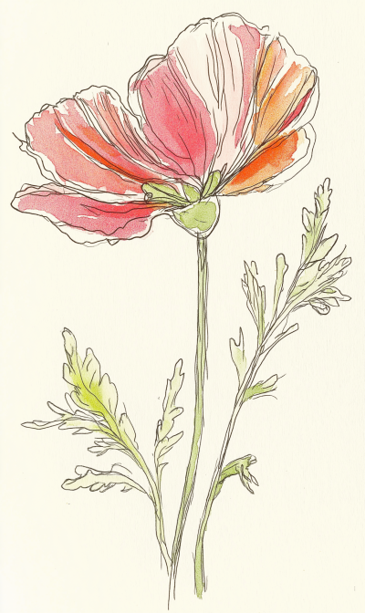 Single Flower Illustration