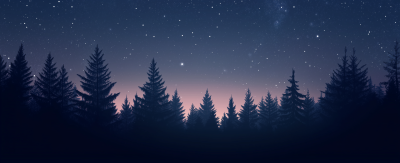 Dark Forest at Night