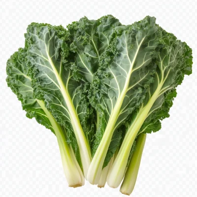 Chinese Kale Vegetable