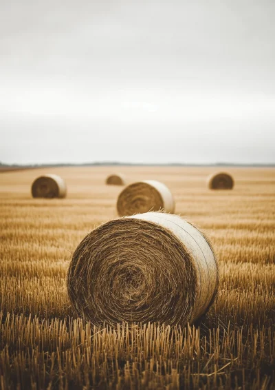 Minimalist Hay Bales