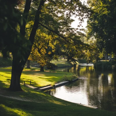 Scenic Park View