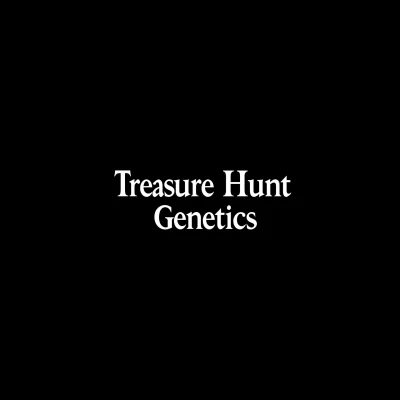 Treasure Hunt Genetics Wordmark