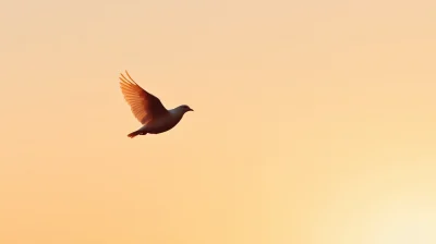 Dove in Flight