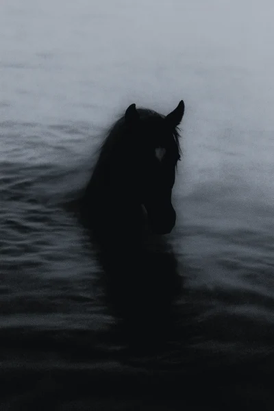 Underwater Horse Silhouette