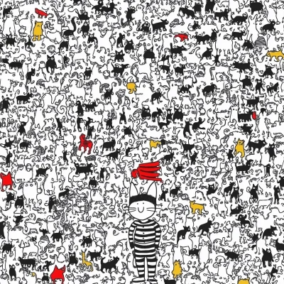 Where’s the White Cat